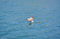 Hurtigruten - MS Nordnorge - Eberhardt-Travel - Reiseleiter Martin Büchner-1818