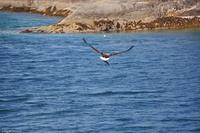 Hurtigruten - MS Nordnorge - Eberhardt-Travel - Reiseleiter Martin Büchner-1819