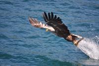 Hurtigruten - MS Nordnorge - Eberhardt-Travel - Reiseleiter Martin Büchner-1838