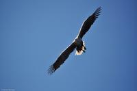 Hurtigruten - MS Nordnorge - Eberhardt-Travel - Reiseleiter Martin Büchner-1862