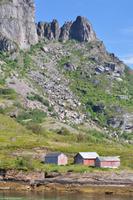Hurtigruten - MS Nordnorge - Eberhardt-Travel - Reiseleiter Martin Büchner-2103