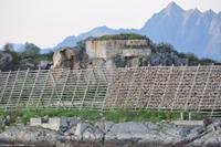 Hurtigruten - MS Nordnorge - Eberhardt-Travel - Reiseleiter Martin Büchner-2733