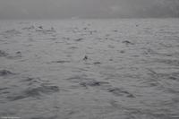 Hurtigruten - MS Nordnorge - Eberhardt-Travel - Reiseleiter Martin Büchner-4520