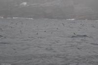 Hurtigruten - MS Nordnorge - Eberhardt-Travel - Reiseleiter Martin Büchner-4535