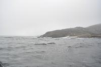 Hurtigruten - MS Nordnorge - Eberhardt-Travel - Reiseleiter Martin Büchner-4720