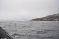 Hurtigruten - MS Nordnorge - Eberhardt-Travel - Reiseleiter Martin Büchner-4735