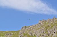 Hurtigruten - MS Nordnorge - Eberhardt-Travel - Reiseleiter Martin Büchner-5033