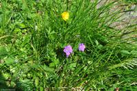 Hurtigruten - MS Nordnorge - Eberhardt-Travel - Reiseleiter Martin Büchner-5066
