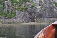 Hurtigruten - MS Nordnorge - Eberhardt-Travel - Reiseleiter Martin Büchner-5365