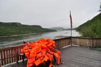 Hurtigruten - MS Nordnorge - Eberhardt-Travel - Reiseleiter Martin Büchner-5392