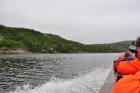 Hurtigruten - MS Nordnorge - Eberhardt-Travel - Reiseleiter Martin Büchner-5420