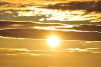 Hurtigruten - MS Nordnorge - Eberhardt-Travel - Reiseleiter Martin Büchner-6013