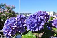 Hurtigruten - MS Nordnorge - Eberhardt-Travel - Reiseleiter Martin Büchner-6330