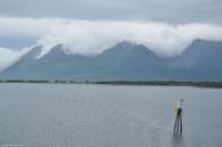 Hurtigruten - MS Nordnorge - Eberhardt-Travel - Reiseleiter Martin Büchner-6566
