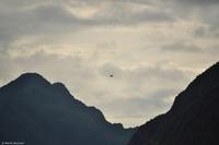 Hurtigruten - MS Nordnorge - Eberhardt-Travel - Reiseleiter Martin Büchner-7063