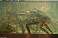 Hurtigruten - MS Nordnorge - Eberhardt-Travel - Reiseleiter Martin Büchner-7216