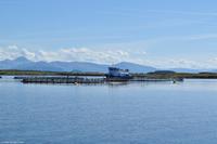 Hurtigruten - MS Nordnorge - Eberhardt-Travel - Reiseleiter Martin Büchner-7941