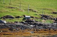 Hurtigruten - MS Nordnorge - Eberhardt-Travel - Reiseleiter Martin Büchner-8038