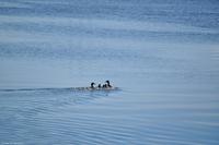 Hurtigruten - MS Nordnorge - Eberhardt-Travel - Reiseleiter Martin Büchner-8050