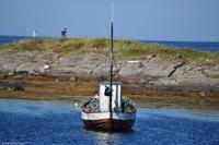 Hurtigruten - MS Nordnorge - Eberhardt-Travel - Reiseleiter Martin Büchner-8164