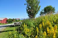 Hurtigruten - MS Nordnorge - Eberhardt-Travel - Reiseleiter Martin Büchner-8168