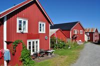 Hurtigruten - MS Nordnorge - Eberhardt-Travel - Reiseleiter Martin Büchner-8175