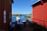 Hurtigruten - MS Nordnorge - Eberhardt-Travel - Reiseleiter Martin Büchner-8187