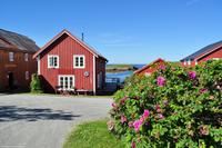 Hurtigruten - MS Nordnorge - Eberhardt-Travel - Reiseleiter Martin Büchner-8192