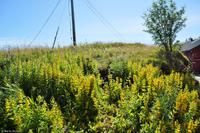 Hurtigruten - MS Nordnorge - Eberhardt-Travel - Reiseleiter Martin Büchner-8194