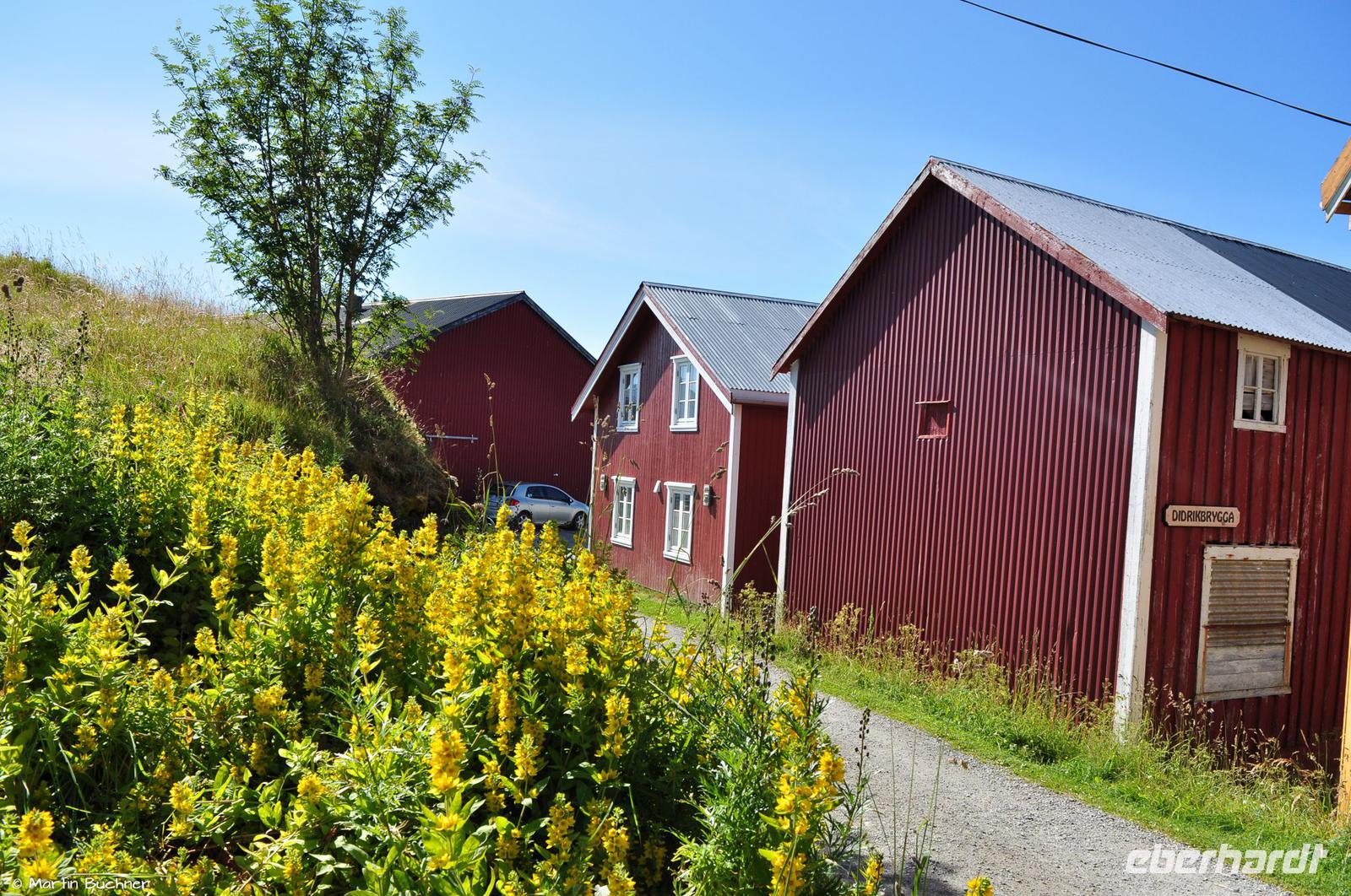 Hurtigruten - MS Nordnorge - Eberhardt-Travel - Reiseleiter Martin Büchner-8195