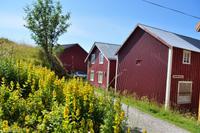 Hurtigruten - MS Nordnorge - Eberhardt-Travel - Reiseleiter Martin Büchner-8195