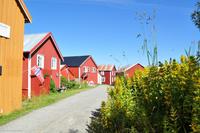 Hurtigruten - MS Nordnorge - Eberhardt-Travel - Reiseleiter Martin Büchner-8196