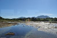 Hurtigruten - MS Nordnorge - Eberhardt-Travel - Reiseleiter Martin Büchner-8220