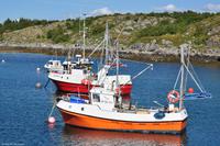Hurtigruten - MS Nordnorge - Eberhardt-Travel - Reiseleiter Martin Büchner-8282