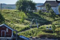 Hurtigruten - MS Nordnorge - Eberhardt-Travel - Reiseleiter Martin Büchner-8409