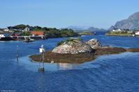 Hurtigruten - MS Nordnorge - Eberhardt-Travel - Reiseleiter Martin Büchner-8425