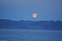 Hurtigruten - MS Nordnorge - Eberhardt-Travel - Reiseleiter Martin Büchner-8884