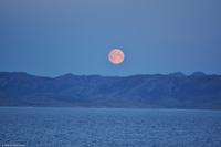 Hurtigruten - MS Nordnorge - Eberhardt-Travel - Reiseleiter Martin Büchner-8886