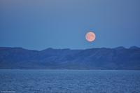 Hurtigruten - MS Nordnorge - Eberhardt-Travel - Reiseleiter Martin Büchner-8892