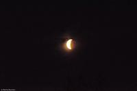 Hurtigruten - MS Nordnorge - Eberhardt-Travel - Reiseleiter Martin Büchner-9106