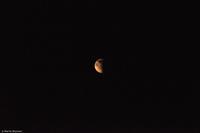 Hurtigruten - MS Nordnorge - Eberhardt-Travel - Reiseleiter Martin Büchner-9134