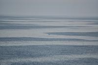 Martin Büchner - BMS Worldtravel - MS Nordnorge - Juli 2018 (8)