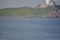 Martin Büchner - BMS Worldtravel - MS Nordnorge - Juli 2018 (15)