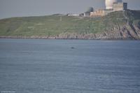 Martin Büchner - BMS Worldtravel - MS Nordnorge - Juli 2018 (16)