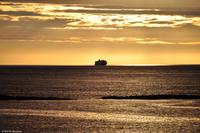 Martin Büchner - BMS Worldtravel - MS Nordnorge - Juli 2018 (23)