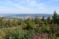 036 Sundsvall, Blick vom Södra Berget