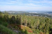 039 Sundsvall, Blick vom Södra Berget