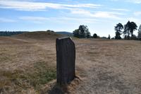 040 Sundsvall, Gräberfeld Högom