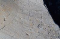 070 Felsritzungen im Altamuseum