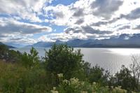 100 Lyngerfjord und Lynger Alpen